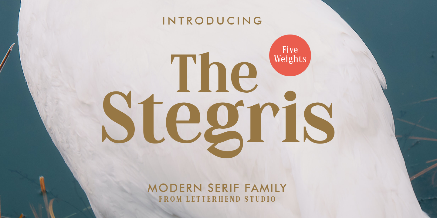 Example font The Stegris #10